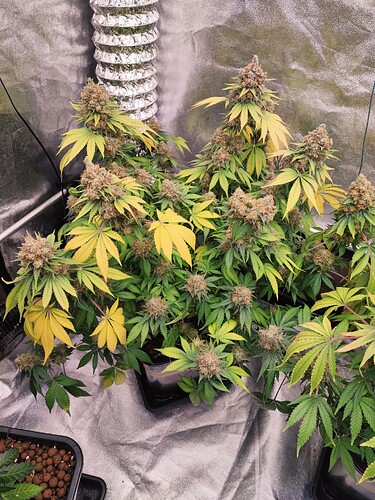 Growreport Bild 19