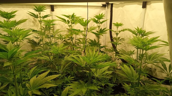 Growreport Bild 12