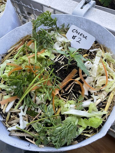 Growreport Bild 1