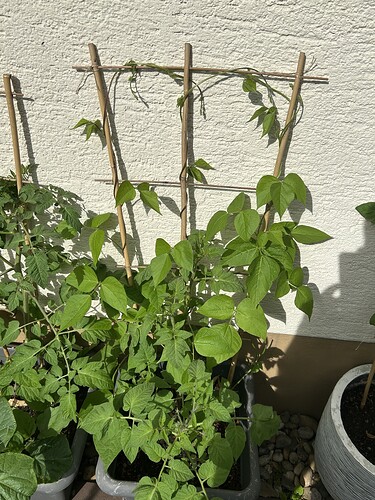 Growreport Bild 26