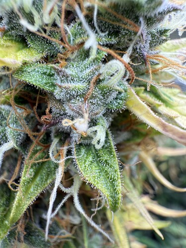 Growreport Bild 17