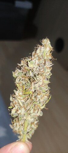 Growreport Bild 13