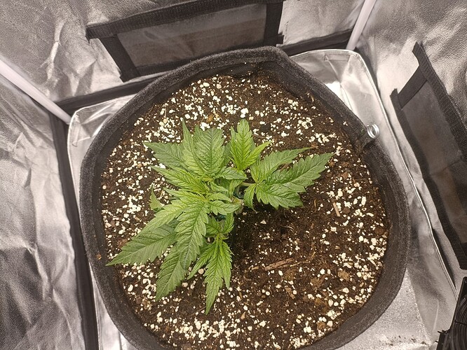 Growreport Bild 9