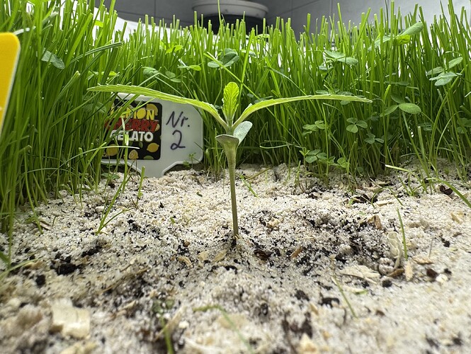 Growreport Bild 4