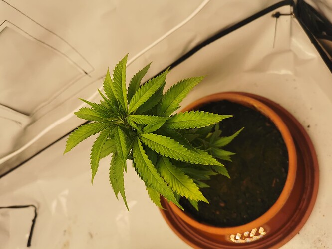 Growreport Bild 5