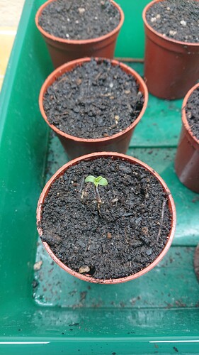 Growreport Bild 18