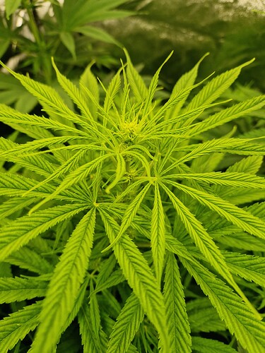 Growreport Bild 4