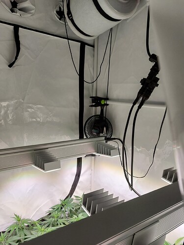 Growreport Bild 6