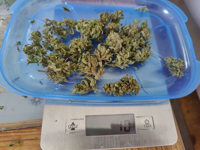 Growreport Bild 19