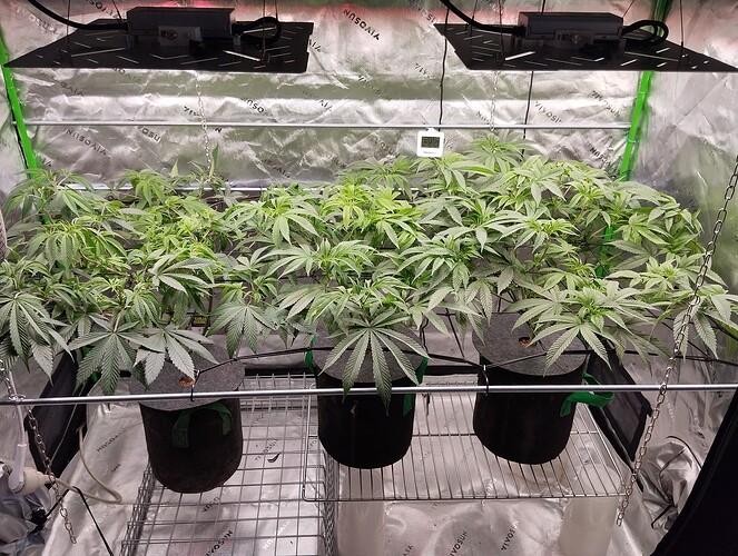 Growreport Bild 4