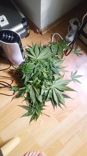 Growreport Bild 21