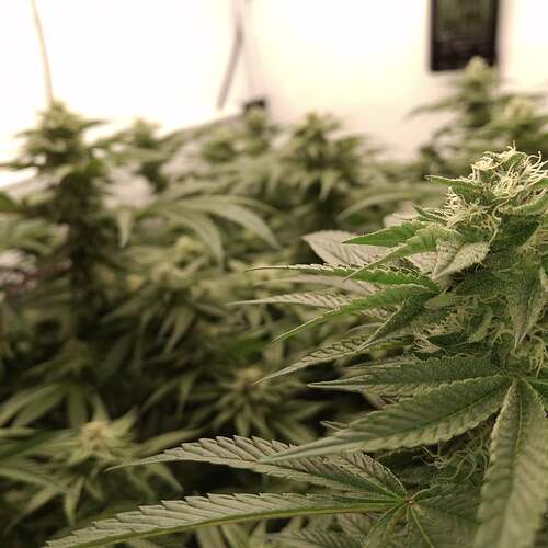 475475135_122166485564293599_4256826947531971688_n