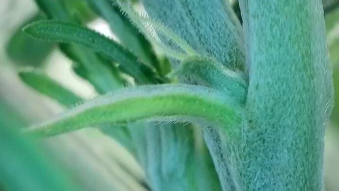 Growreport Bild 6