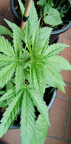 Growreport Bild 11