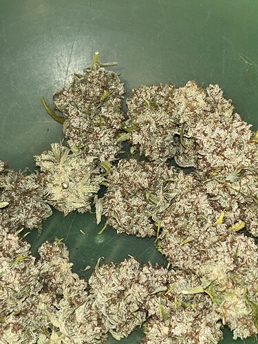 Growreport Bild 12
