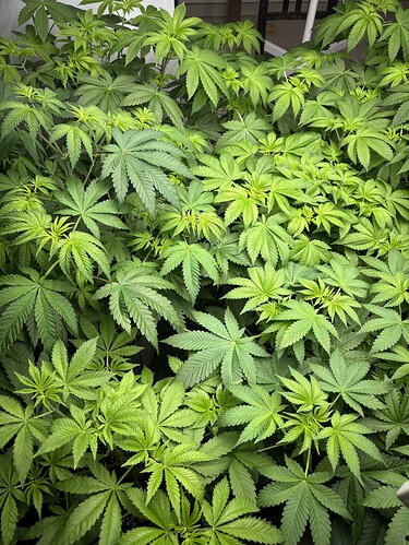 Growreport Bild 12