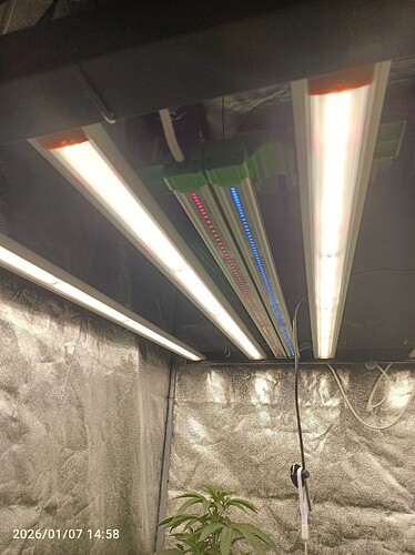 Growreport Bild 4