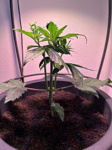 Growreport Bild 11