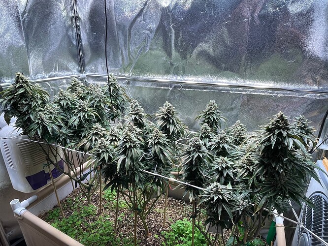 Growreport Bild 10