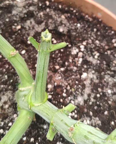 Growreport Bild 20