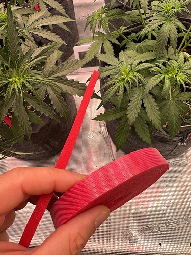 Growreport Bild 10