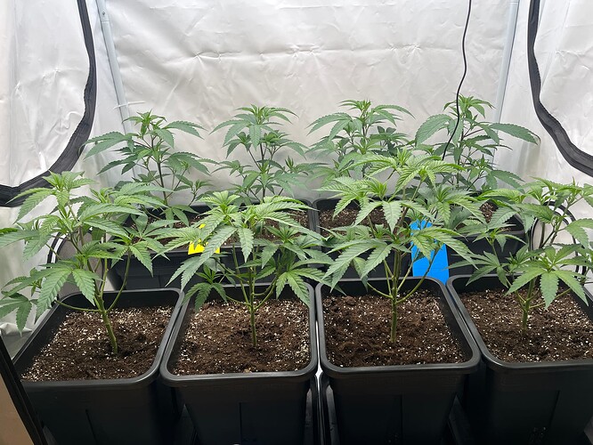 Growreport Bild 22