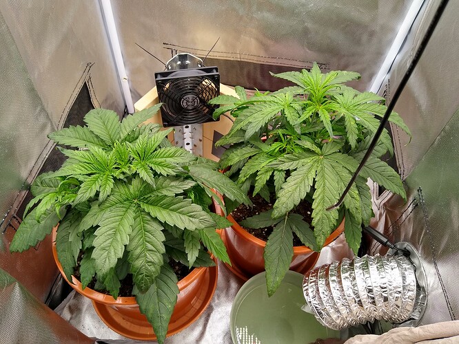 IMG_20240505_125857512_HDR