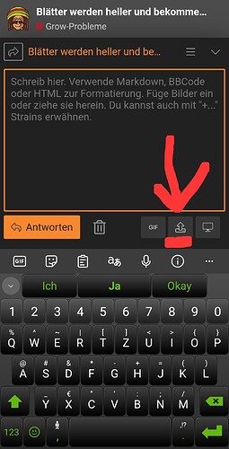 Screenshot_20240923_200344_Chrome