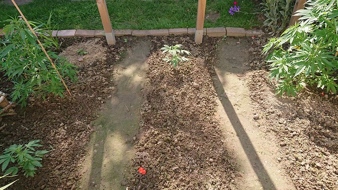 Growreport Bild 43