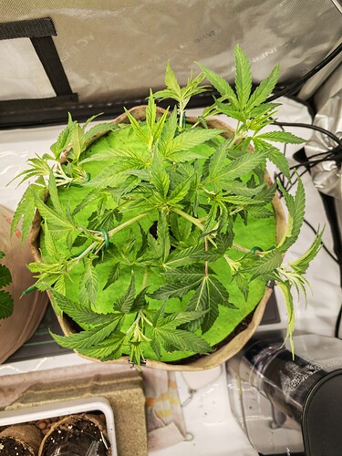 Growreport Bild 23