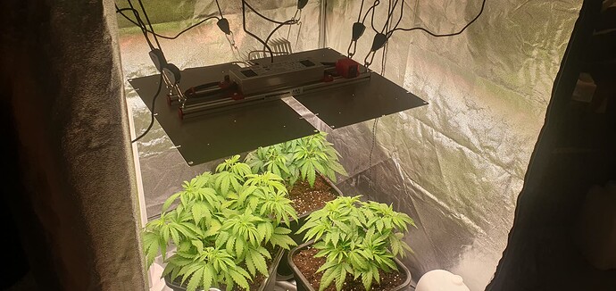 Growreport Bild 5
