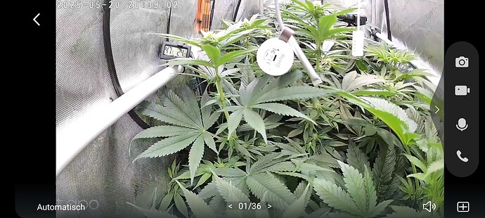 Growreport Bild 23