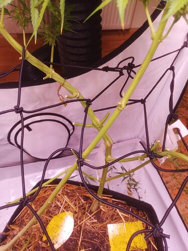 Growreport Bild 10