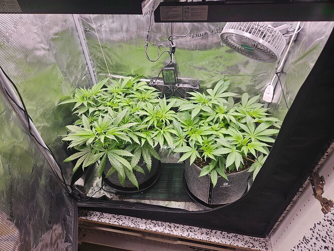 Growreport Bild 8