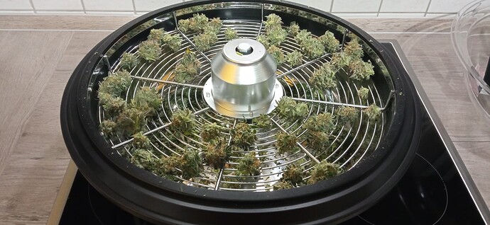 Growreport Bild 3