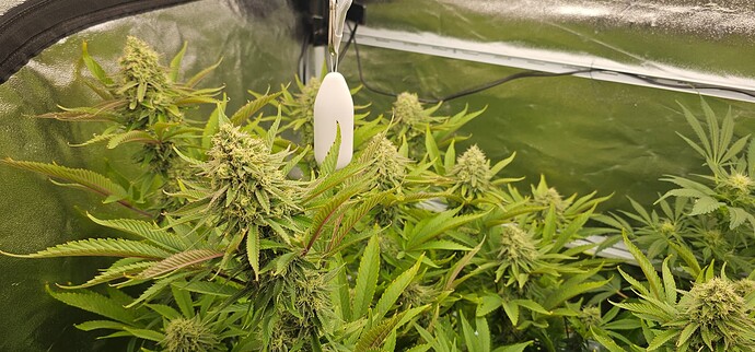 Growreport Bild 4