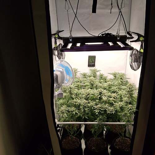 476365591_122166828884293599_1395281415736646328_n