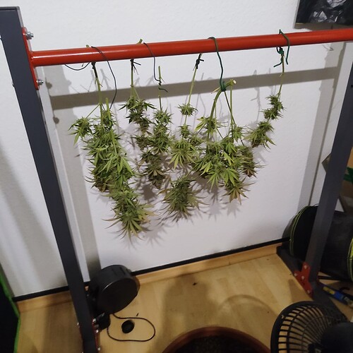 Growreport Bild 12