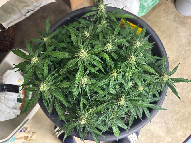 Growreport Bild 8