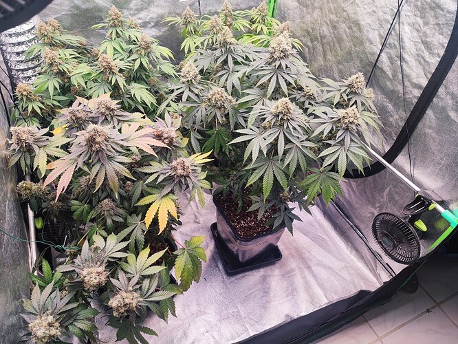 Growreport Bild 13
