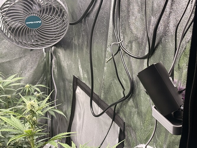 Growreport Bild 1
