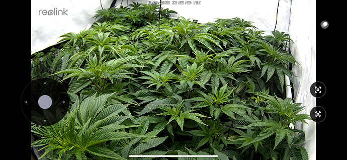 Growreport Bild 2