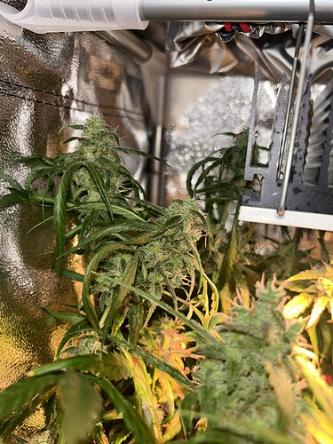 Growreport Bild 3