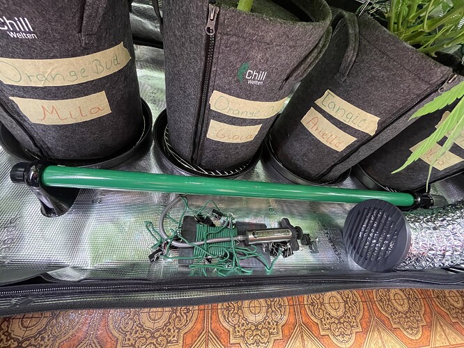Vier Stofftöpfe mit Pflanzenetiketten, darunter ein grüner Metallstab und Grow-Equipment.