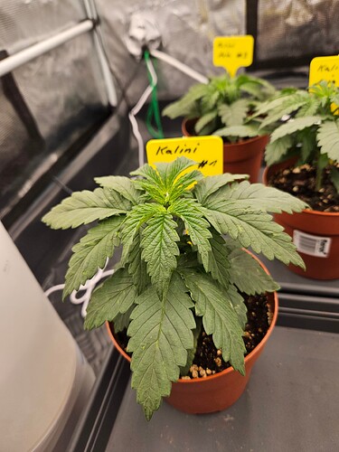 Growreport Bild 55