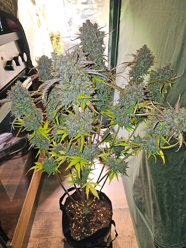 Growreport Bild 1