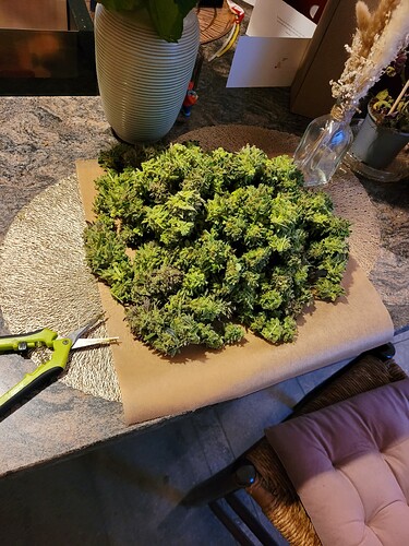 Growreport Bild 19