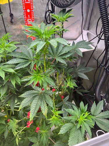 Growreport Bild 10