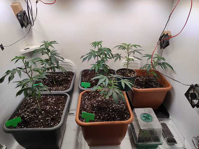 WhatsApp Image 2024-05-25 at 19.50.45