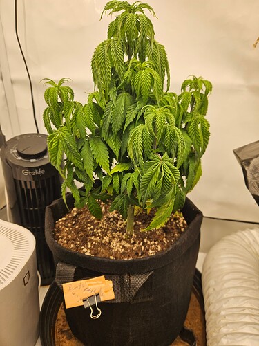 Growreport Bild 17